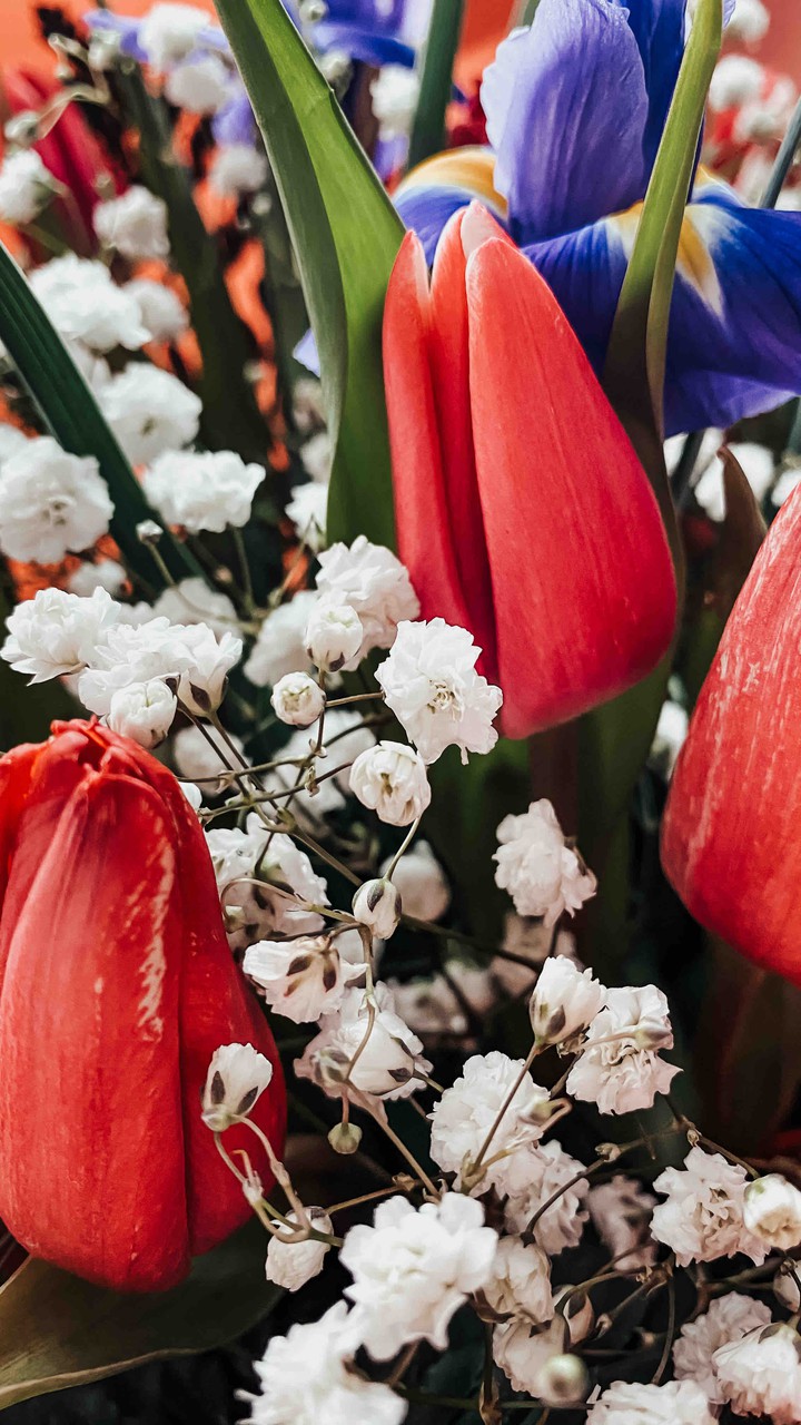 Smells of spring ?