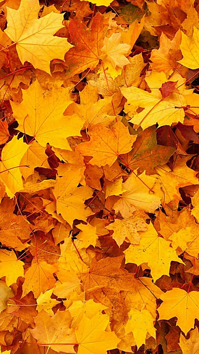 Autumn