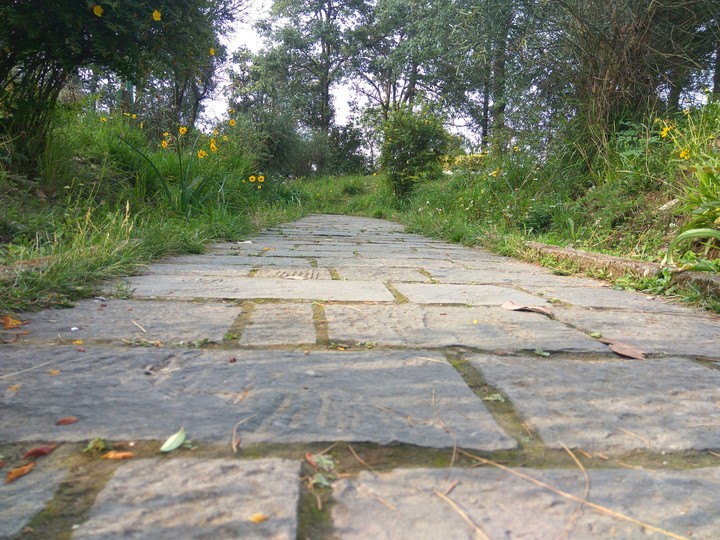 Stony Path
