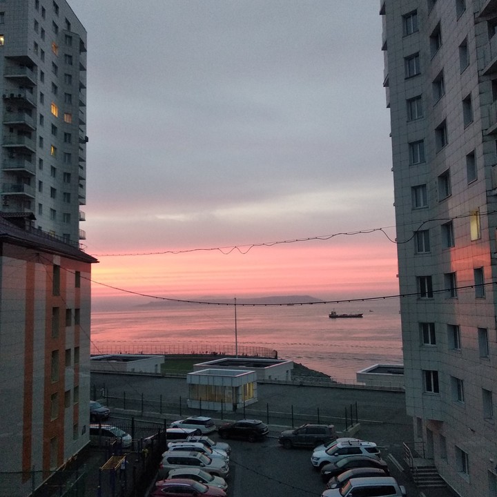 Pink sunset