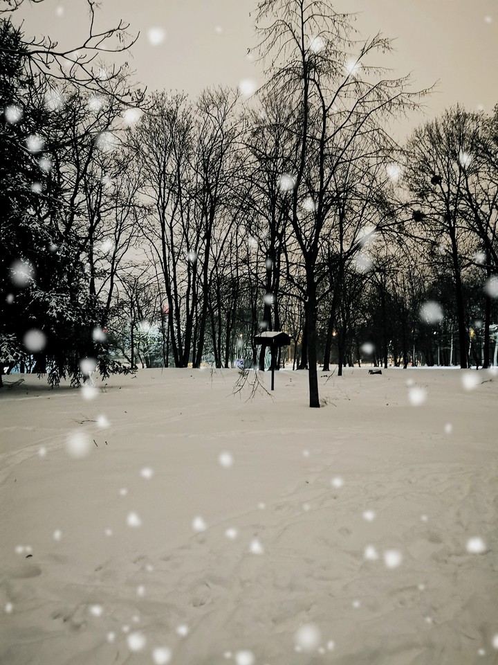 snowy night