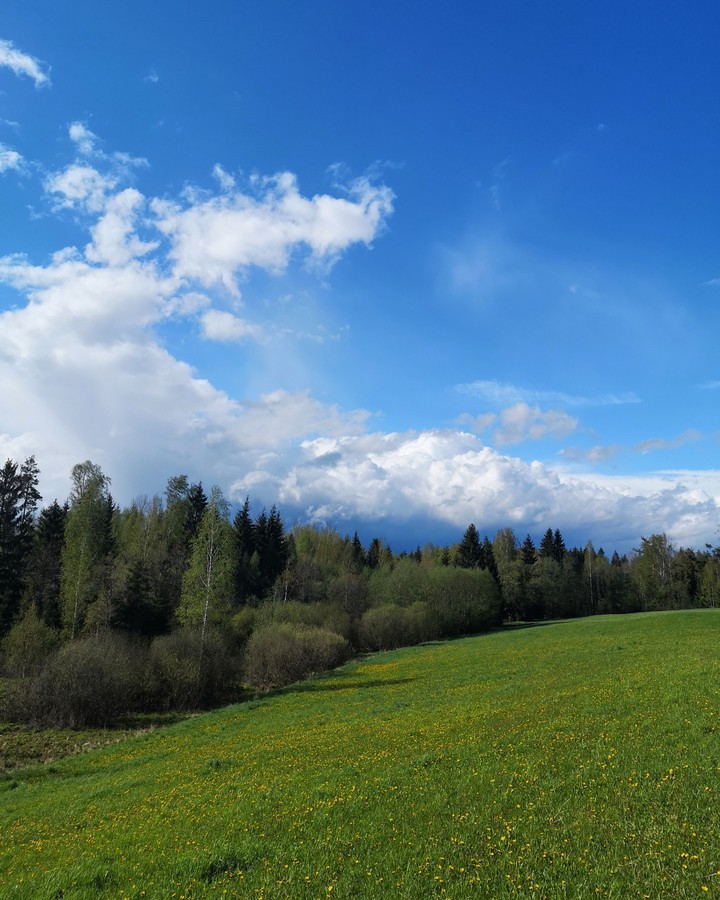 landscape in Latgale