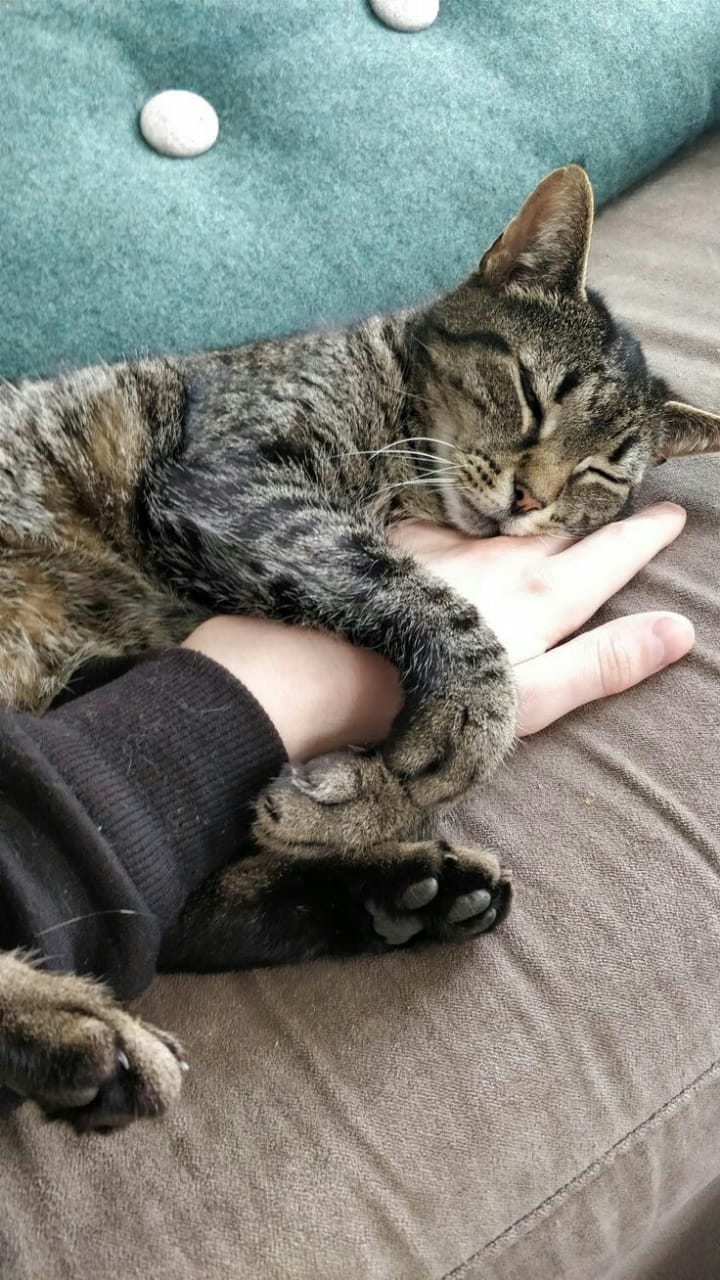 ❤❤❤