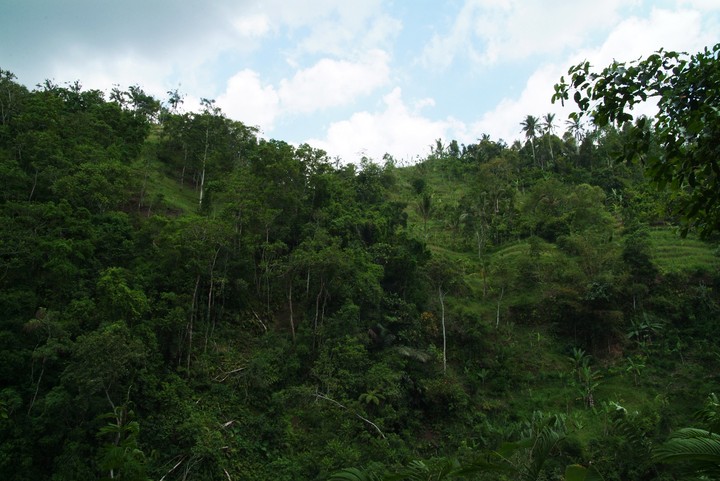 Asia