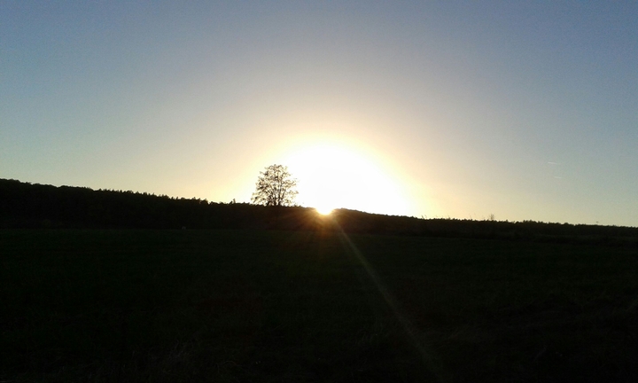 Daylight