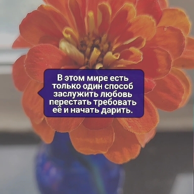 цитаты