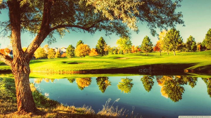 paisaje lindo