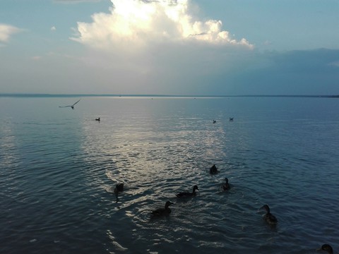 Water