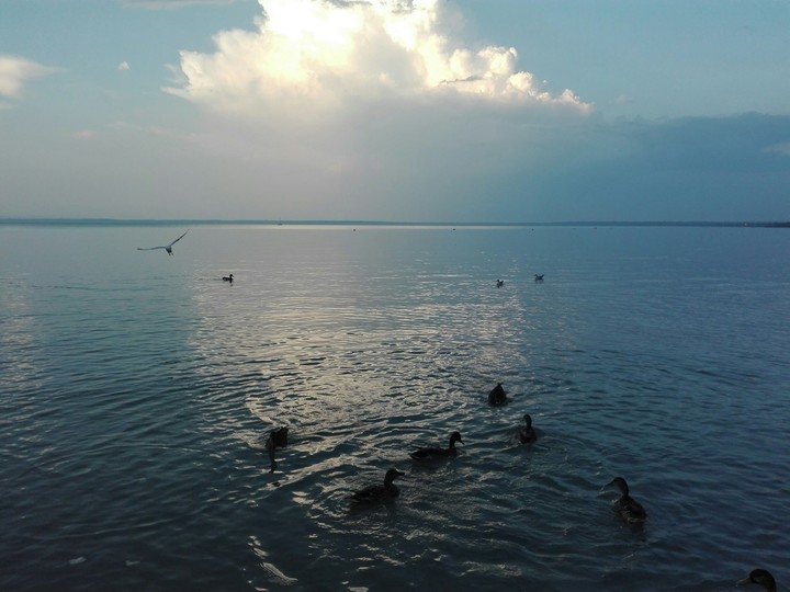 Water