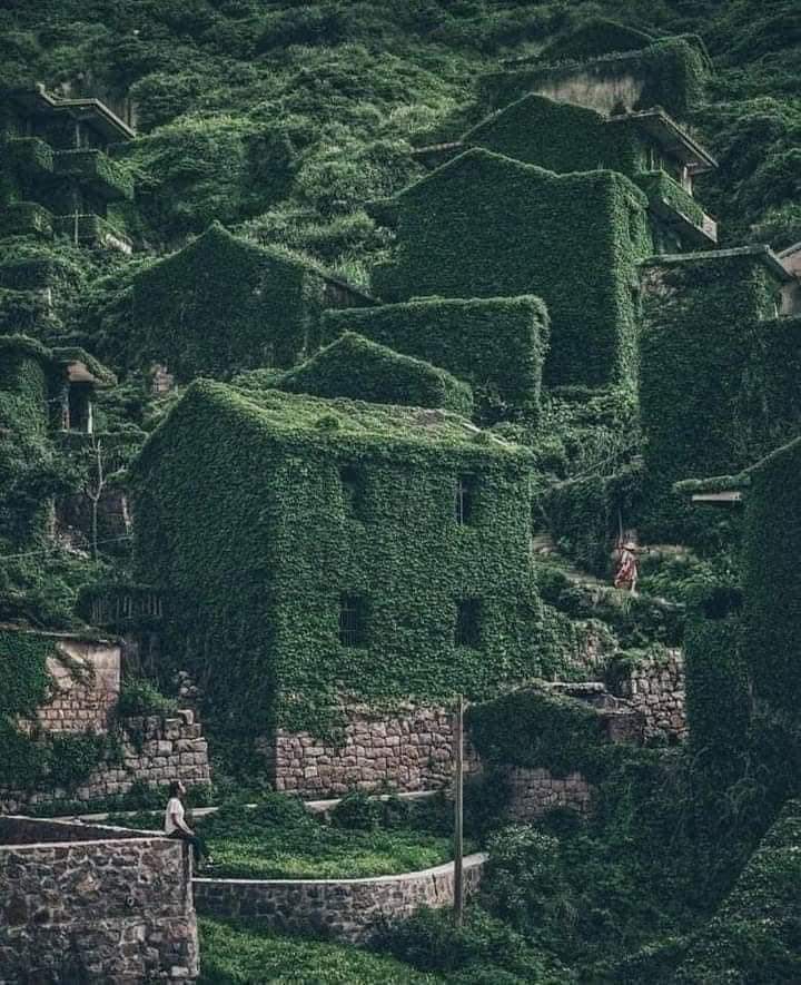 nature