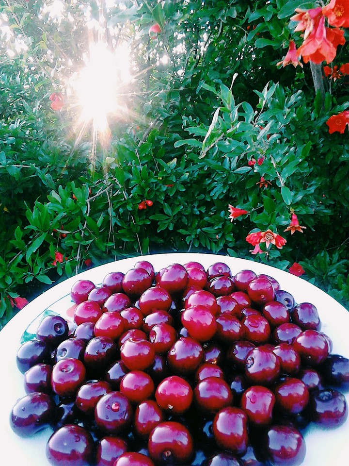 sun