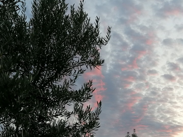 sky
