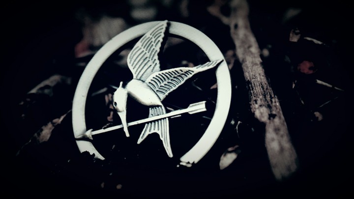 mockingjay