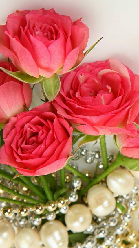 Beautiful Flowers