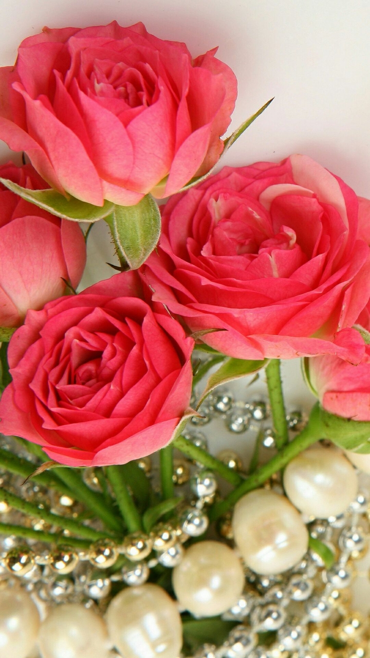 Beautiful Flowers