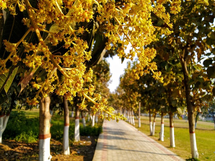 road to success