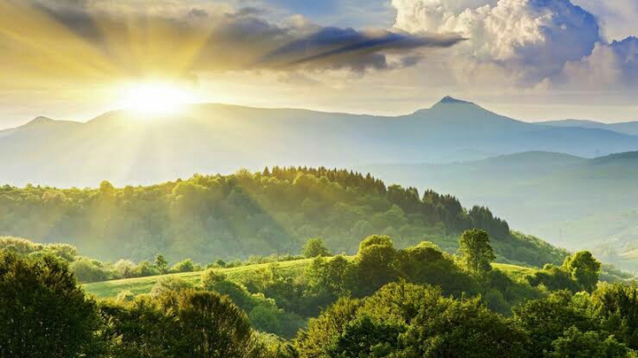 Nature
