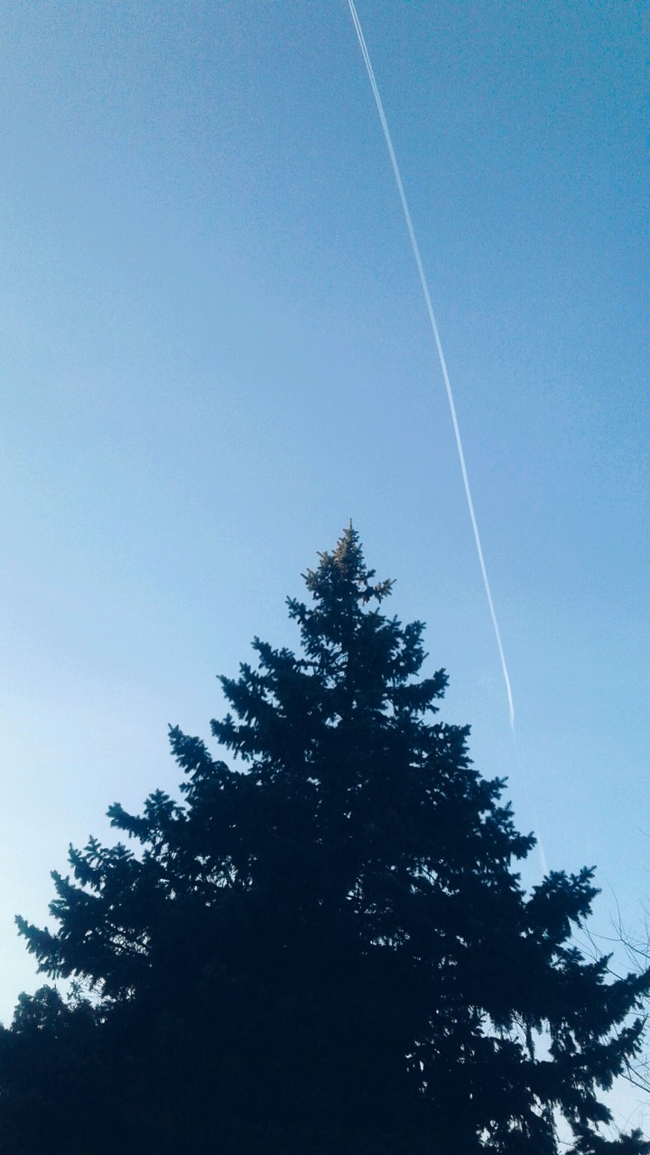 ☆☆☆