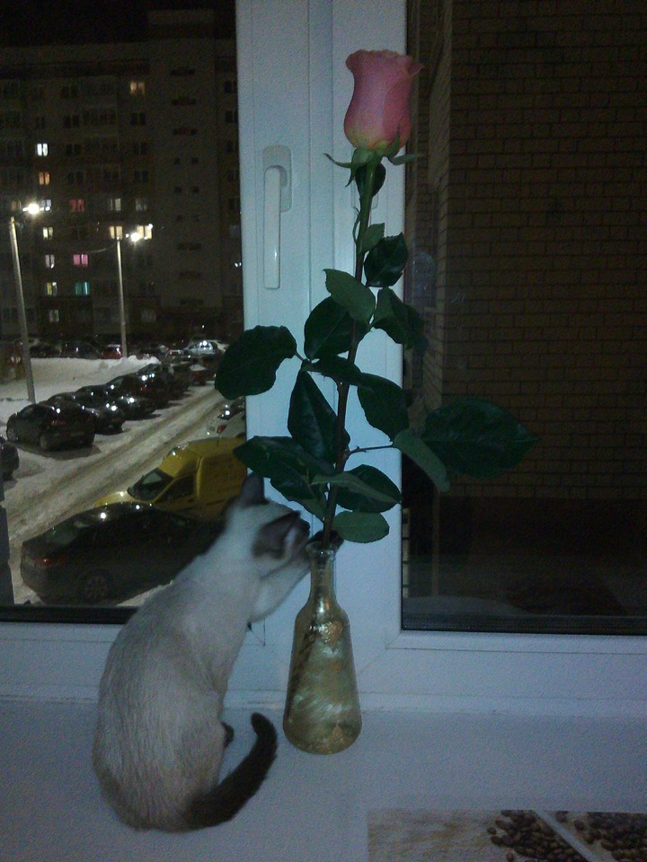 вечер