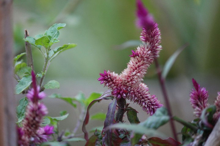 #Nature Beauty
