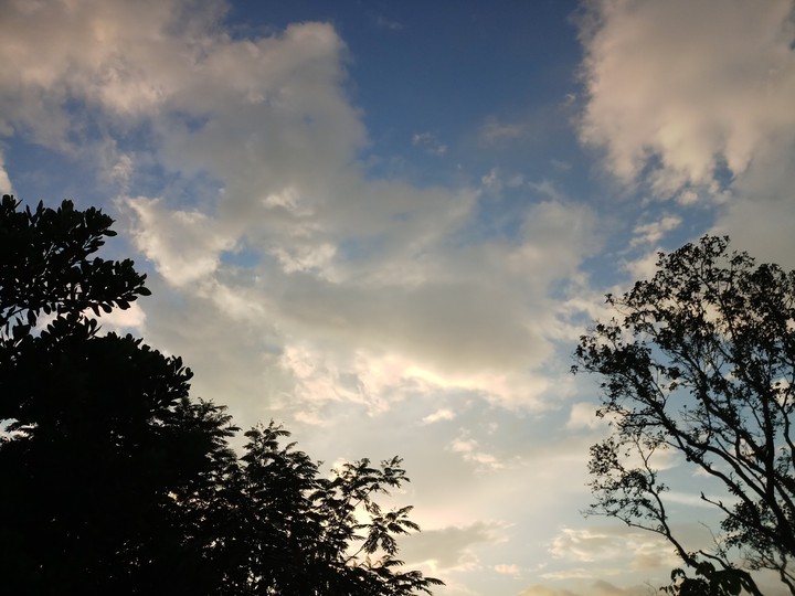 dawn