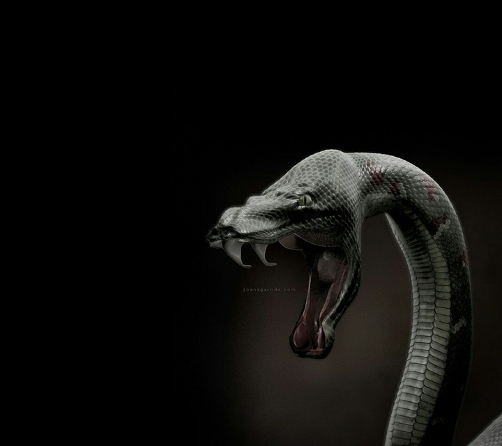 the viper