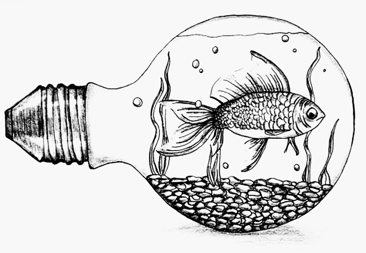 fish