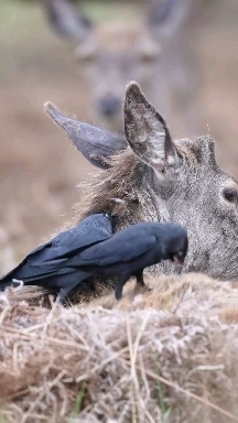 ❤
