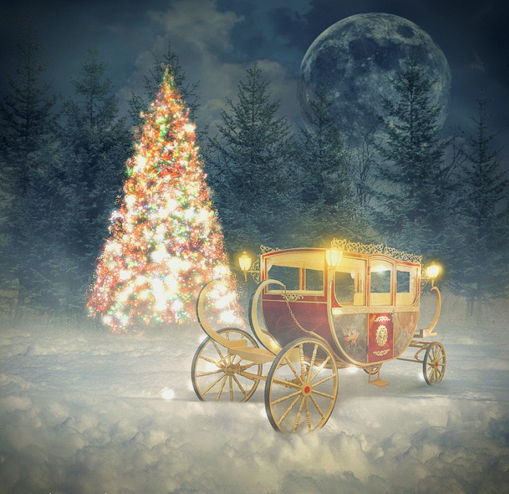 christmas tree