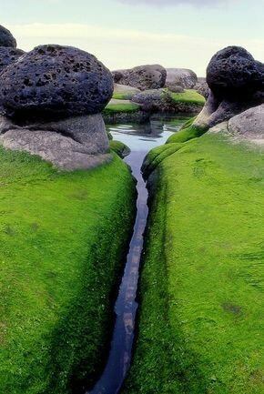 Water way