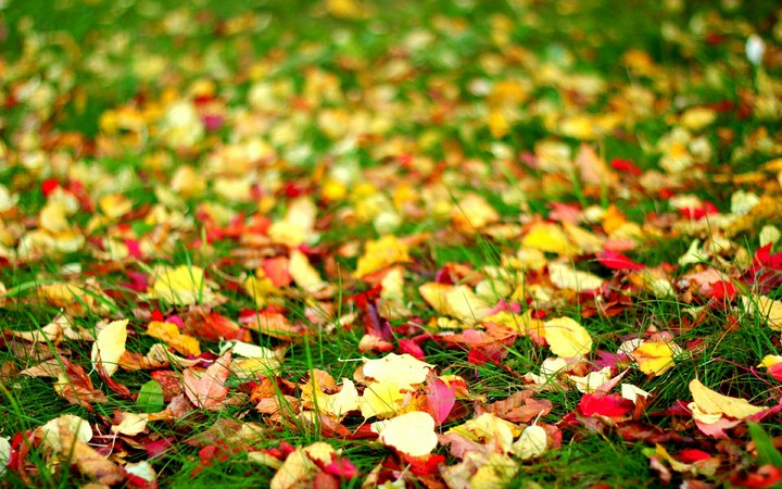color