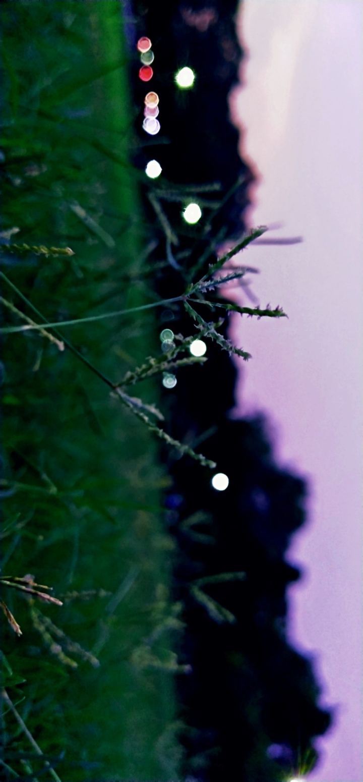 natures