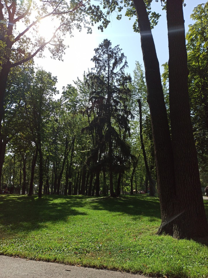 Park