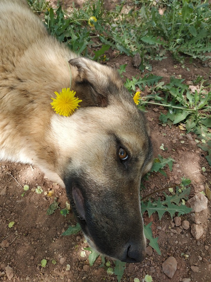 Зита