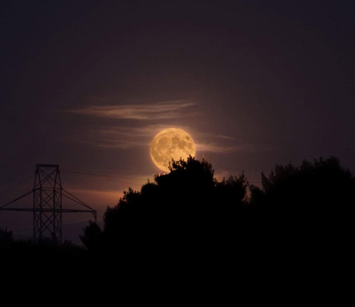Harvest Moon ?