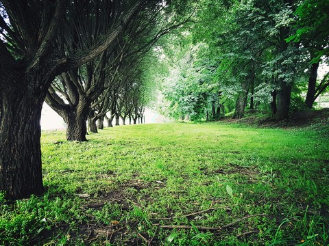 green russia