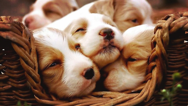 Sleeping