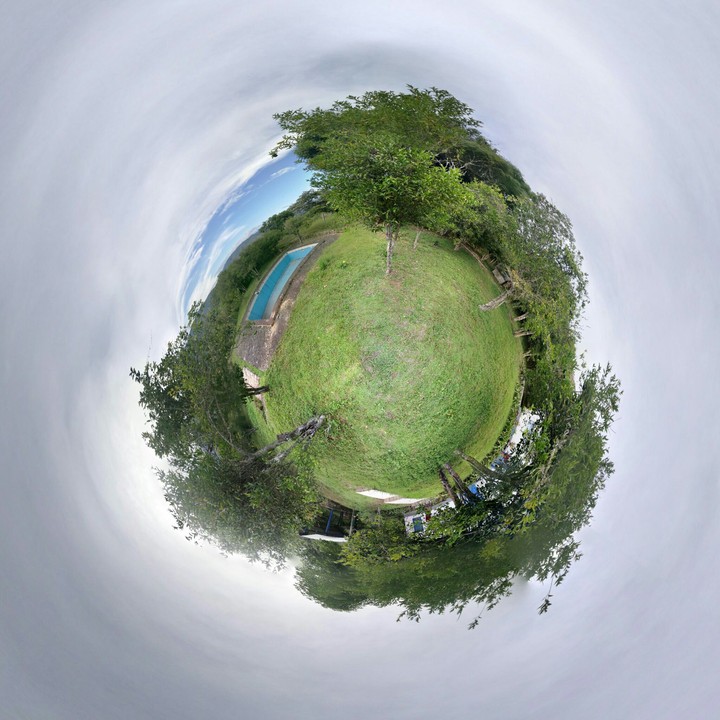 Mini Jungle Planet