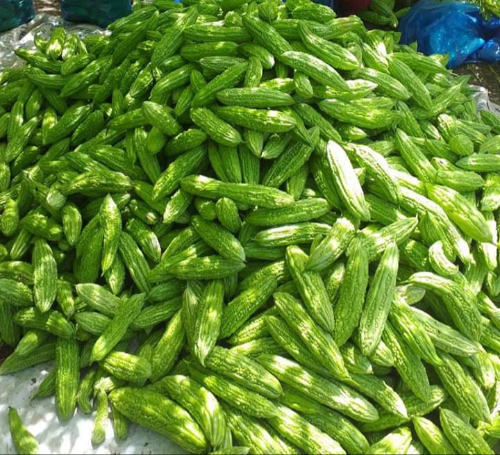 khổ qua