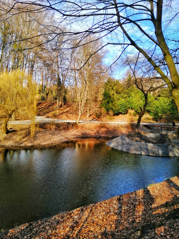 lake
