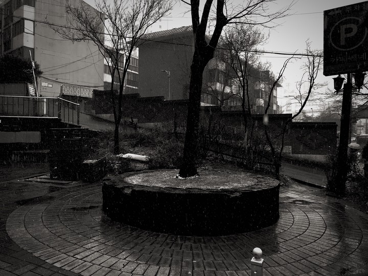 korea3