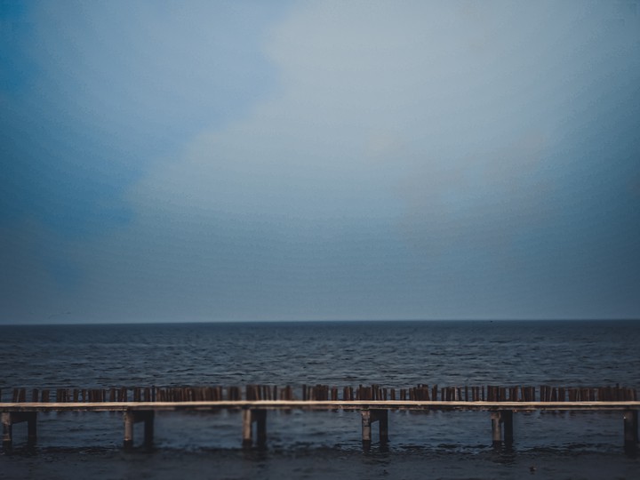 "Sea what I sea.”