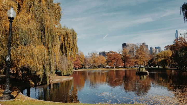Boston Gardens