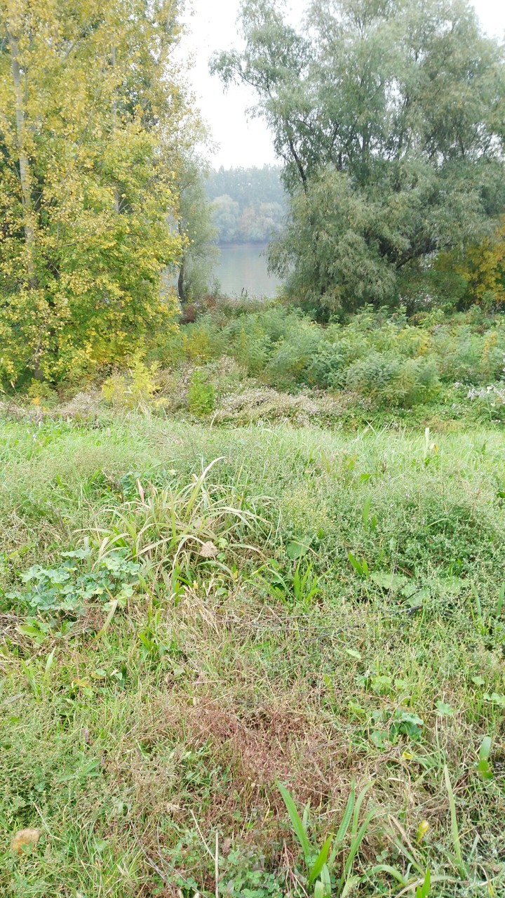 in Titel, river Tisa.