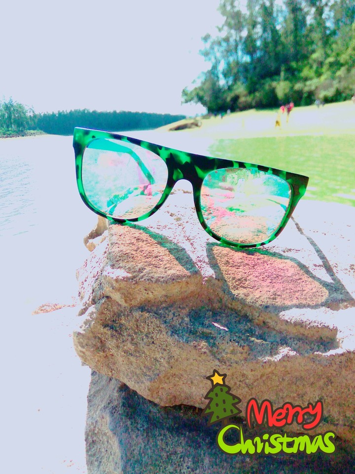 glasses