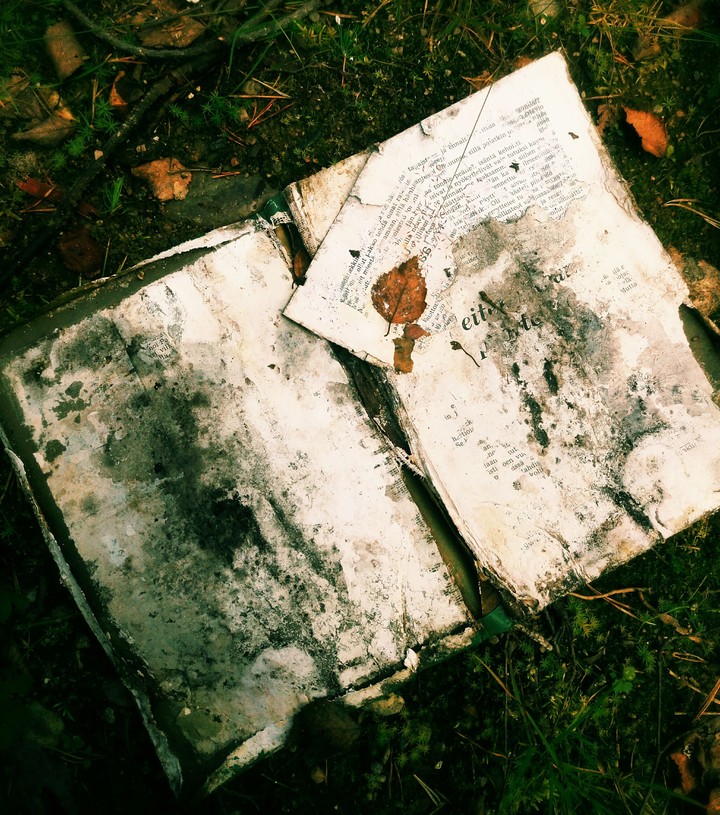 old book