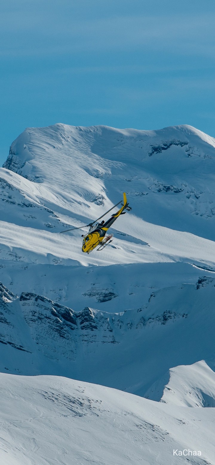 Helicopter