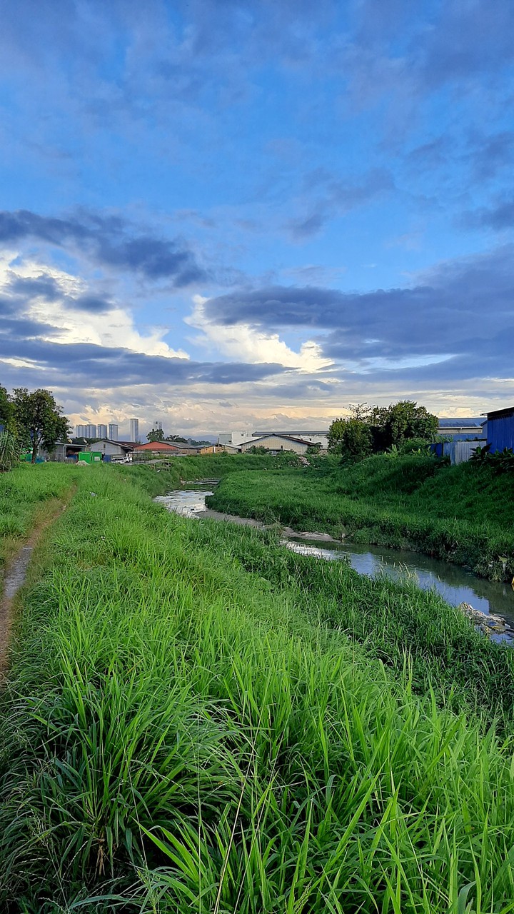 sungai buloh