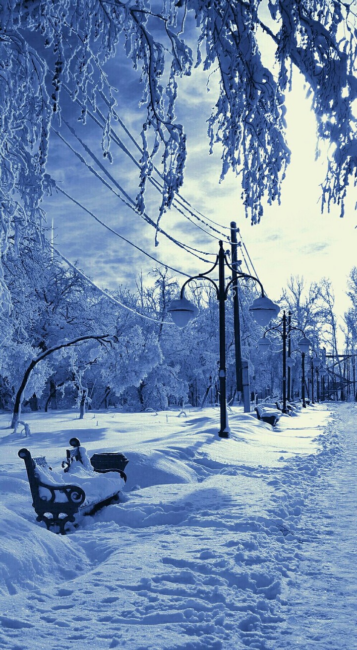 beautiful winter