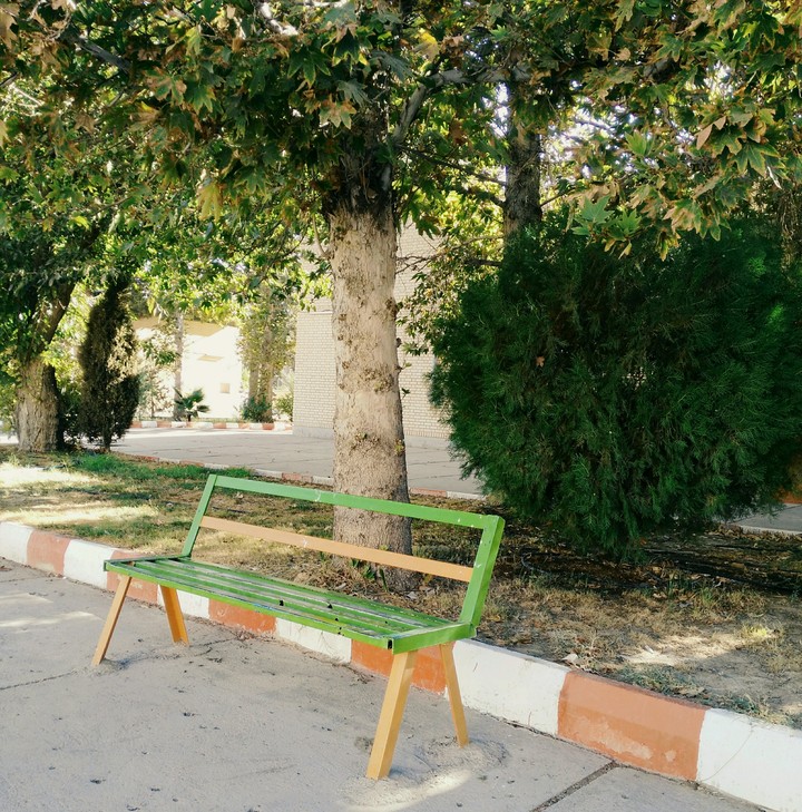 bench